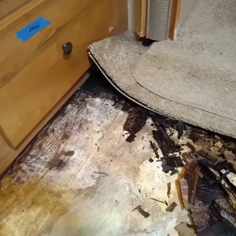 Best Wood Floor Water Damage Service in Saint Augusta, MN